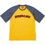 Rhinestone Raglan S/S Top Gold